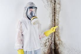 Best Forensic Mold Investigation  in Passaic, NJ